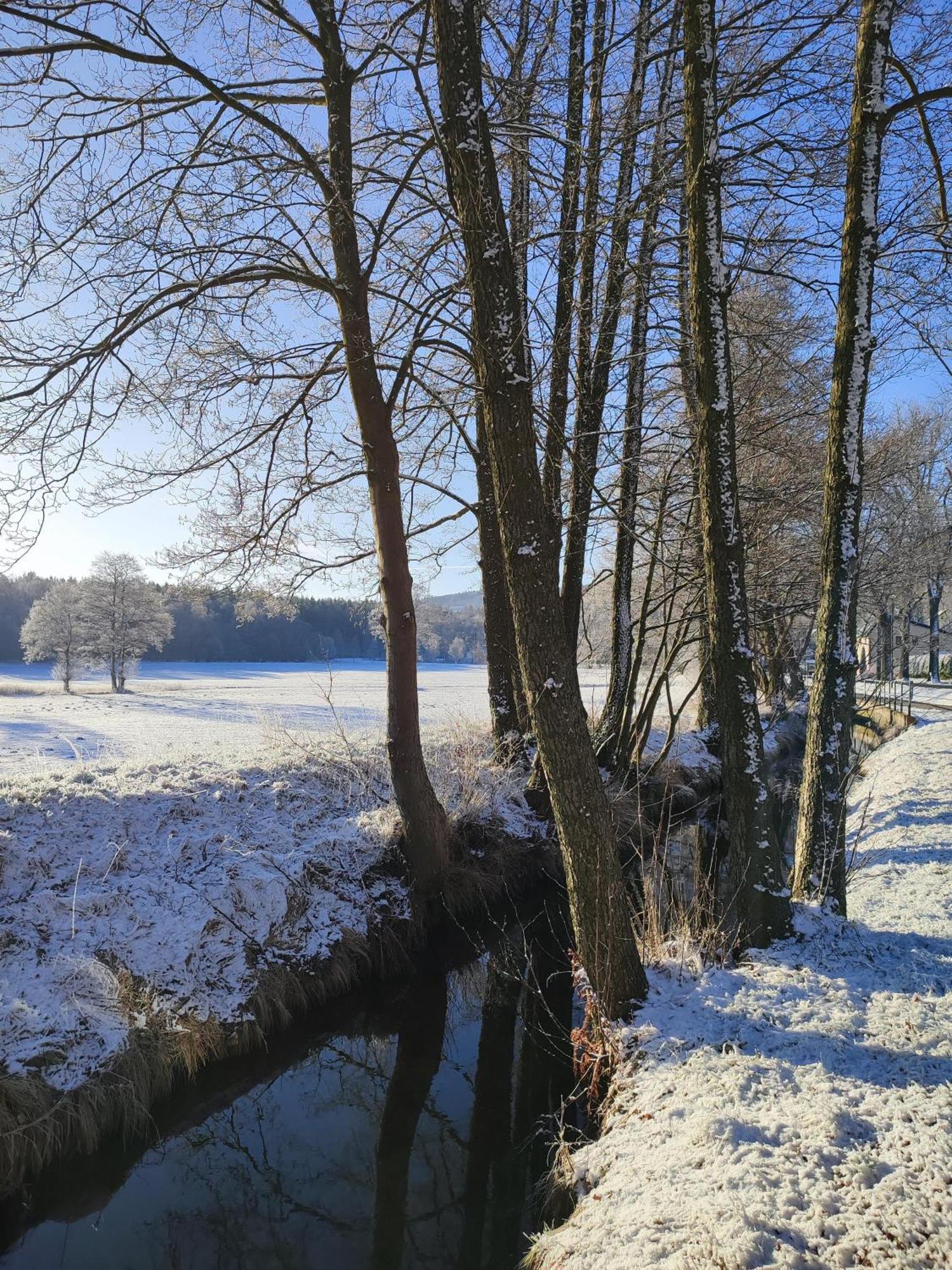 Ferienhaus "De Sieme" Olbernhau Exteriör bild