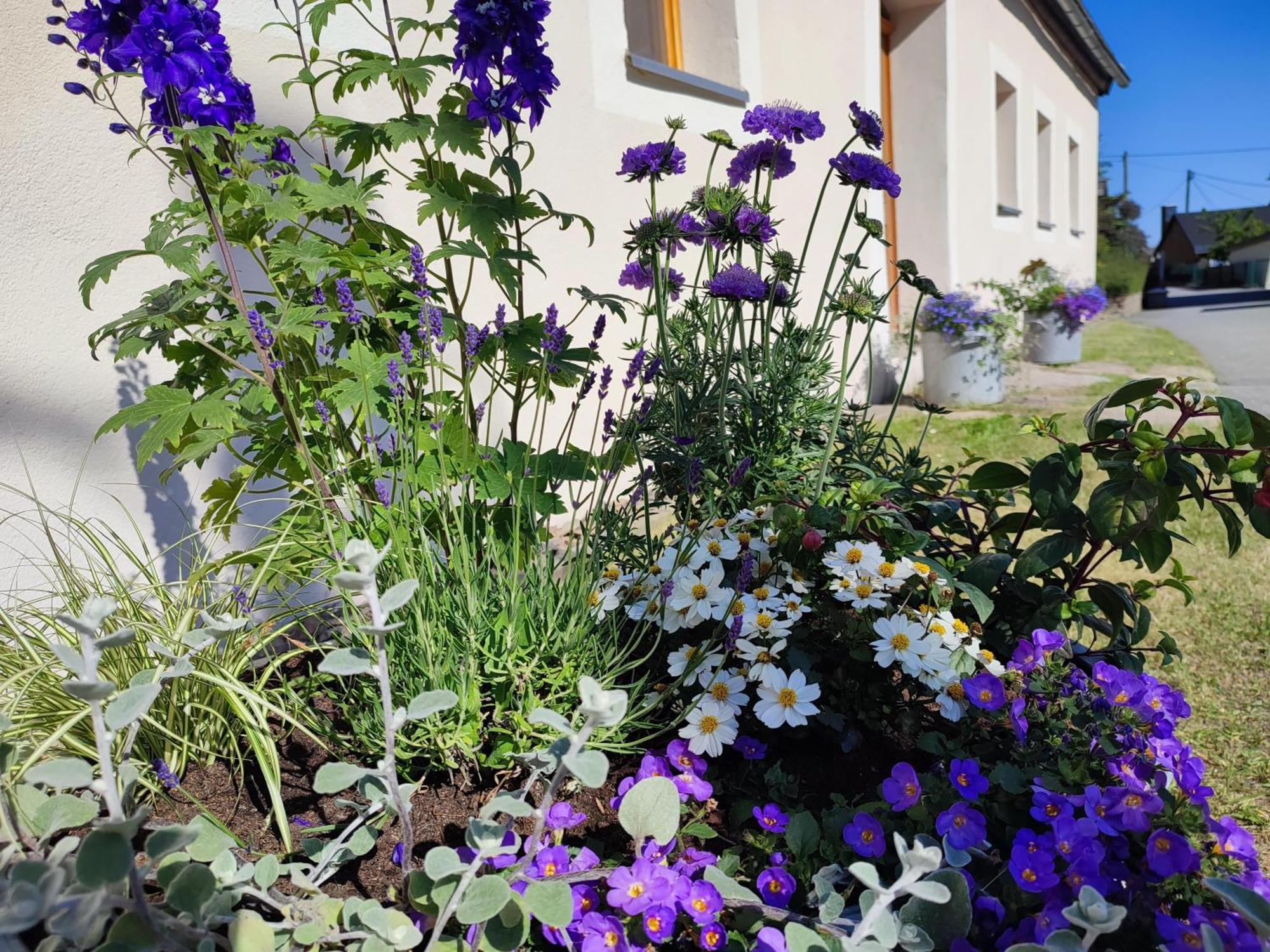 Ferienhaus "De Sieme" Olbernhau Exteriör bild